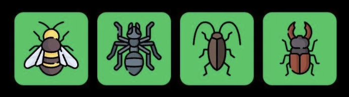 FLIES Daily Combo 8 July 2025